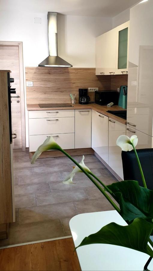 Apartman Ela Donji Rukavac Zewnętrze zdjęcie