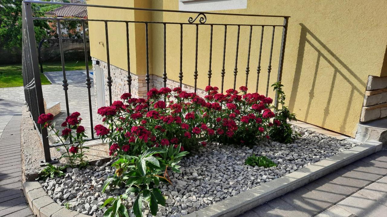 Apartman Ela Donji Rukavac Zewnętrze zdjęcie